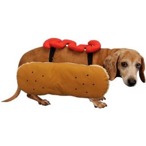 Small dog Halloween costume - Hot dog 