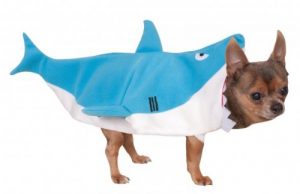 Dog Halloween costume - Shark 