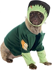 Dog Halloween Costume - Frankenstein