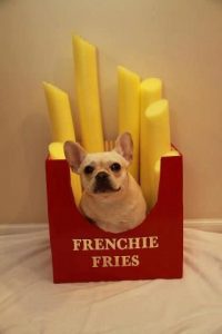 Small dog Halloween costume - French Fries 
