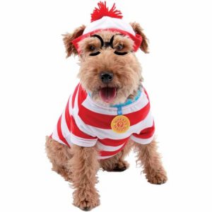 Dog Halloween costume - Where's Waldo 